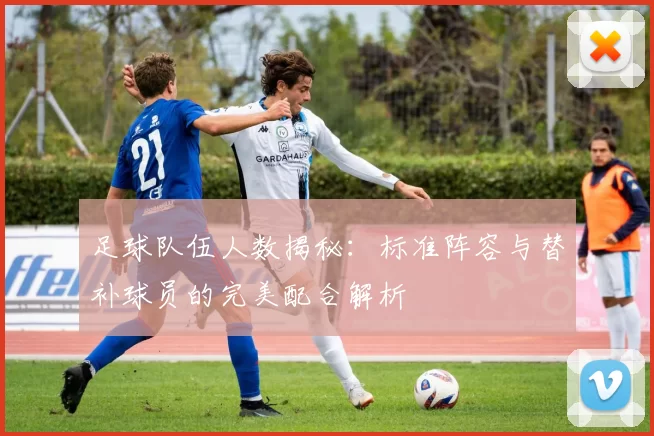 足球队伍人数揭秘：标准阵容与替补球员的完美配合解析