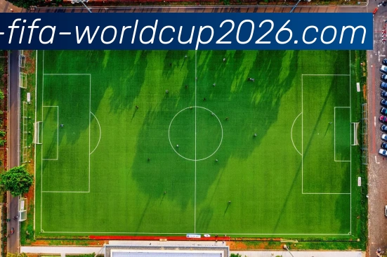 世界杯平台生态图